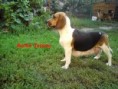 /album/rodicia/matka-jessina-4-jpg/